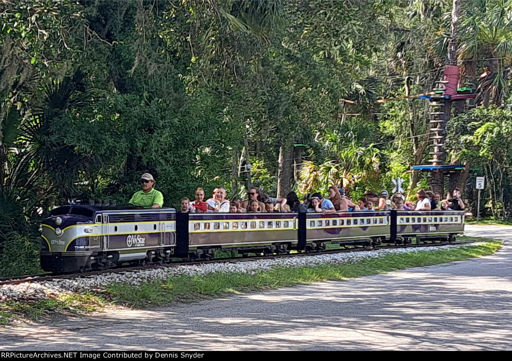 New Zoo Train